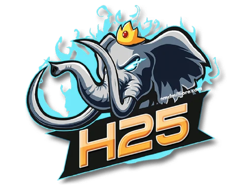 cropped-h25-Logo.webp